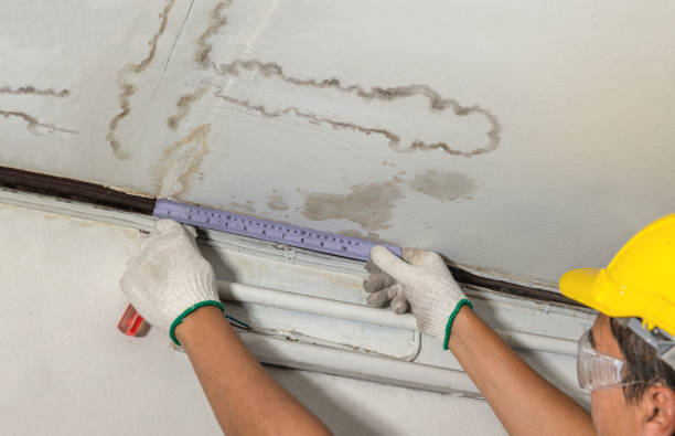 Reliable Water Damage contractor in Whitney, TX by Water Damage Irwin